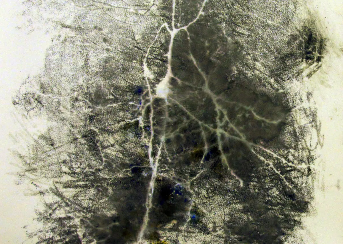Neuron