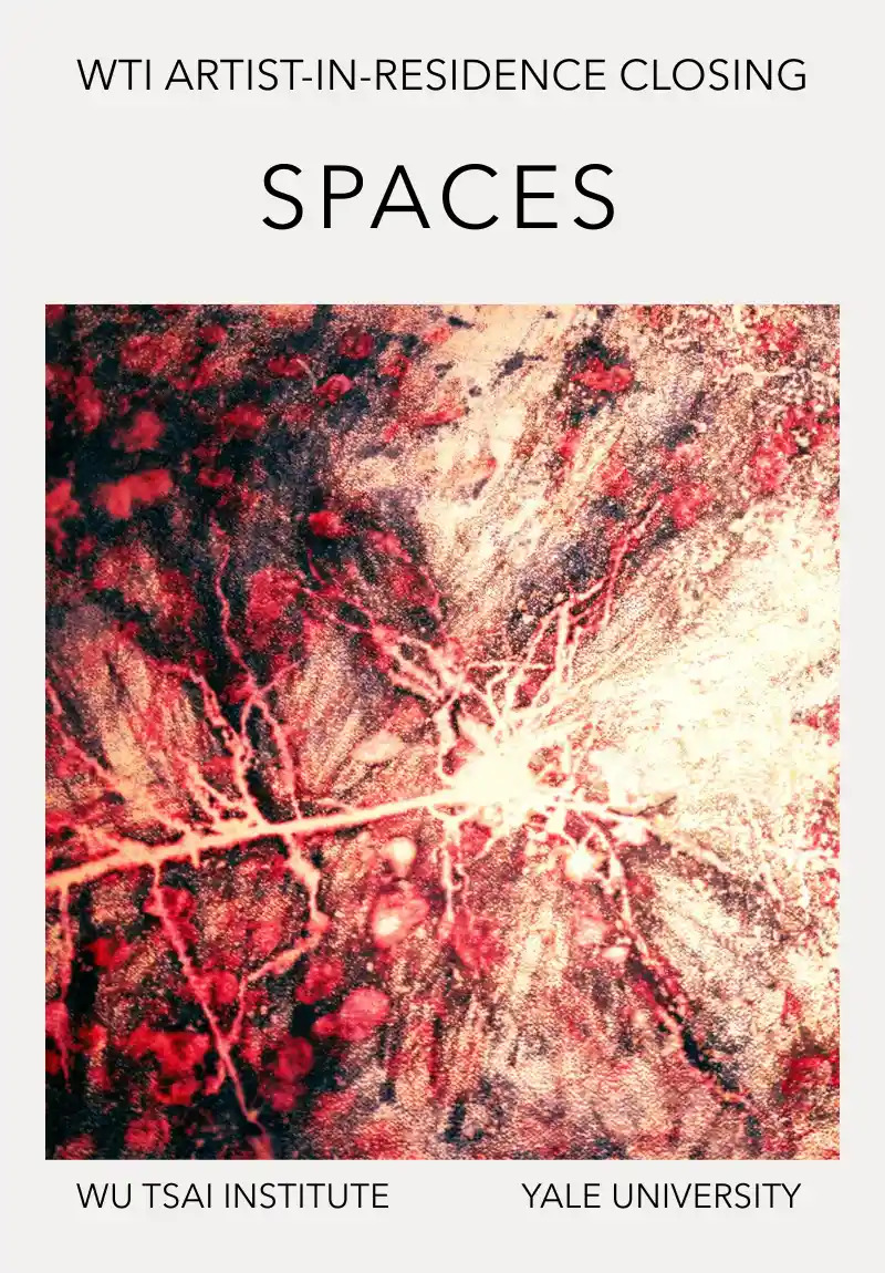 Spaces